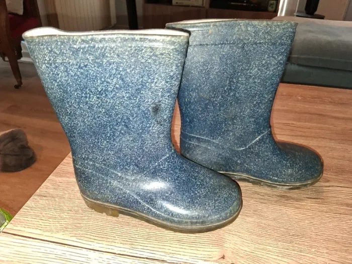 Bottes bleue - photo numéro 2