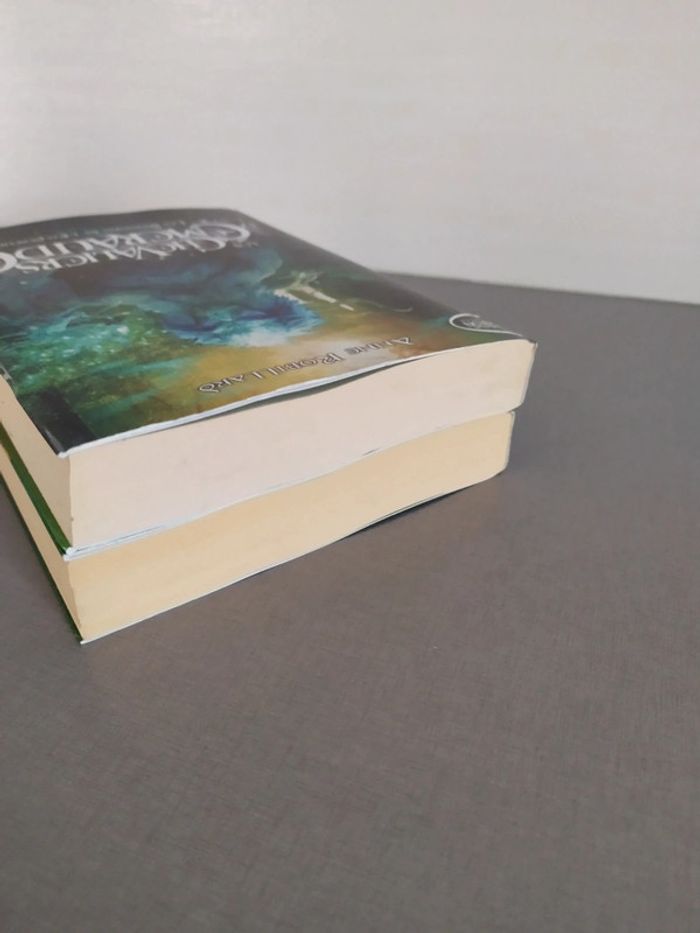 Les chevaliers d'émeraude Tomes 1 et 2 - photo numéro 8