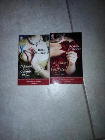 Saga les anges tomes 1et 2 la femme de Gabriel l'amant de mes songes. Robin schone