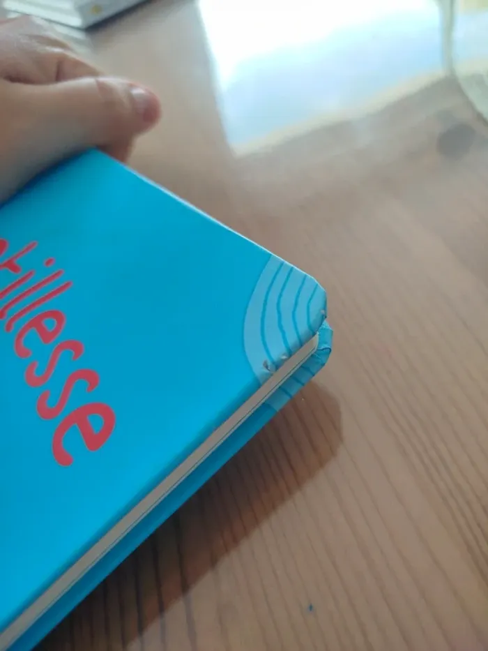 Livre enfant - photo numéro 5