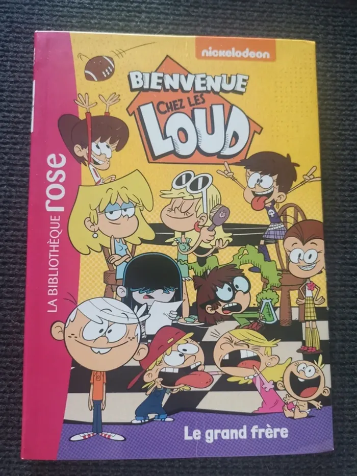 Lot 4 livres bienvenu chez les loud bibliothèque rose - photo numéro 7