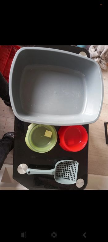 Accessoires pour chat