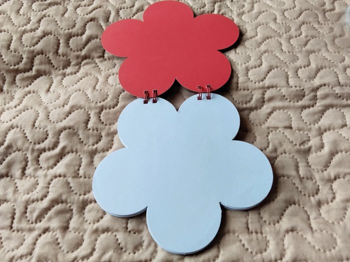 Carnet dessins fleur Kumis. - photo numéro 2