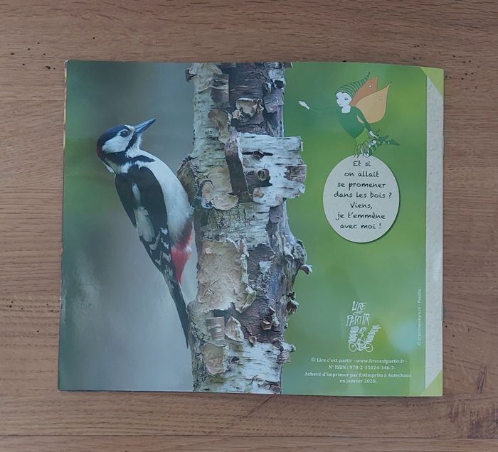 En forêt avec la fée Danaé - lire c'est partir - photo numéro 4