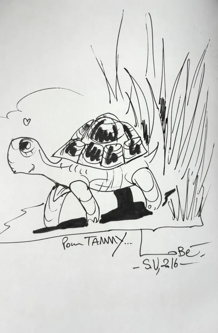 BD Bonheurs et malheurs de la tortue d'hermann - photo numéro 2