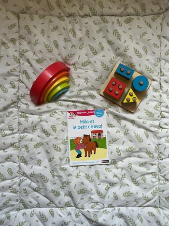 livre Mila et Noé numéro 21 Mila et le petit cheval niveau 1