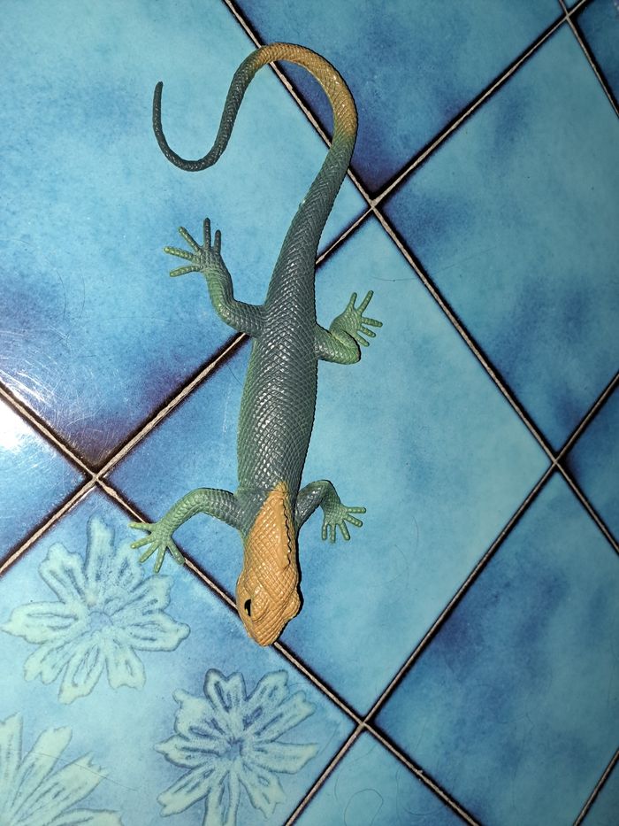 Lezard