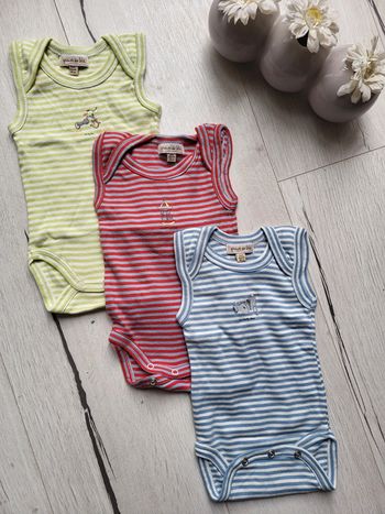 Lot de 3 bodys fille grain de blé 3 mois neufs