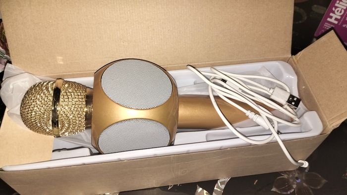 Microphone wster - photo numéro 3