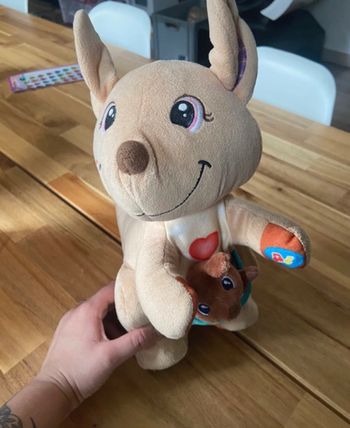 Maman kangourou vtech