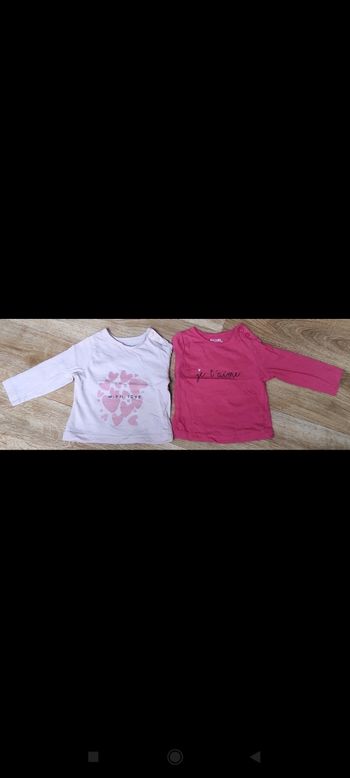 Lot 2 tee-shirts manche longue bébé fille