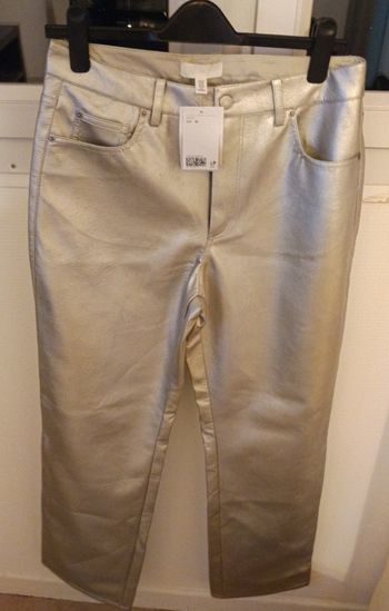 Pantalon sili cuir argent