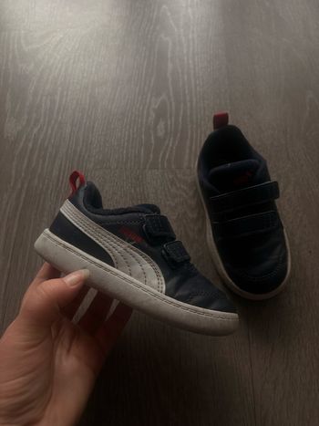 basket puma