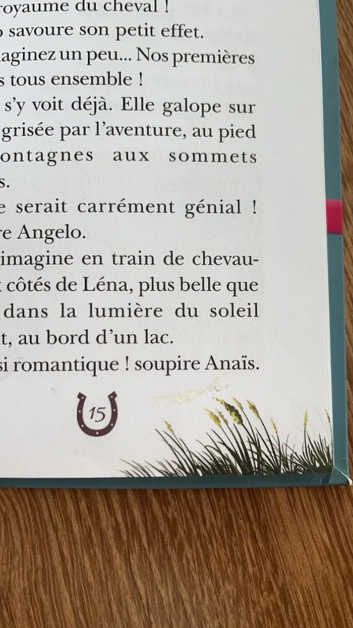 Lot de 2 livres Le ranch Bibliothèque rose - photo numéro 3