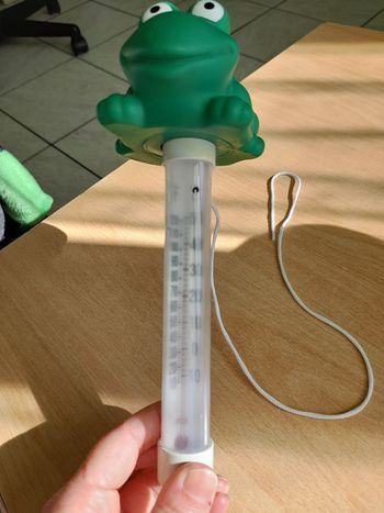 Thermomètre pour piscine 