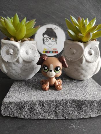 Littlest Petshop Pet Shop LPs chien Boxer 2351 Hasbro dog #geektradelpschien