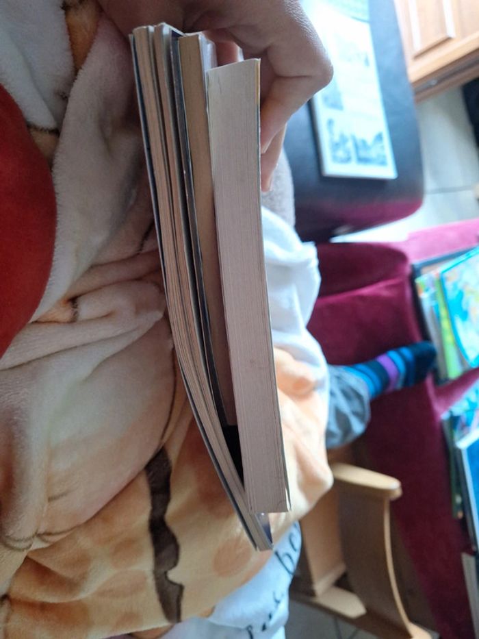 Lot 2 3 livres familles - photo numéro 7