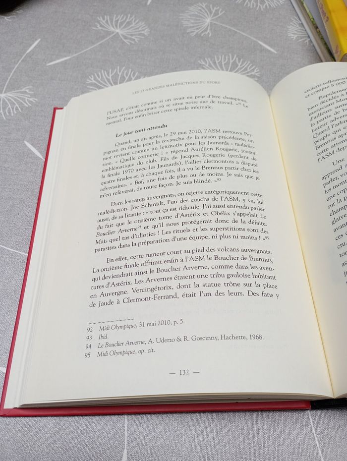 Les 13 grandes malédictions du sport - photo numéro 3