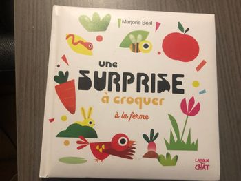 Livre enfant