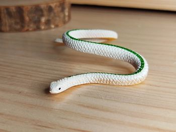 Figurine serpent blanc et vert Animal de la savane