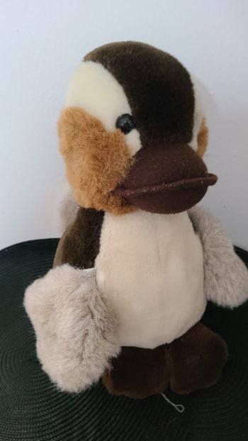 peluche canard cf castiel
