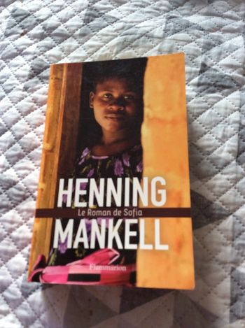 #le Roman de Sofia Henning Mankell