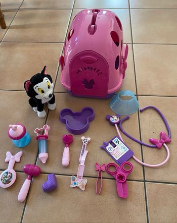 Set Minnie vétérinaire