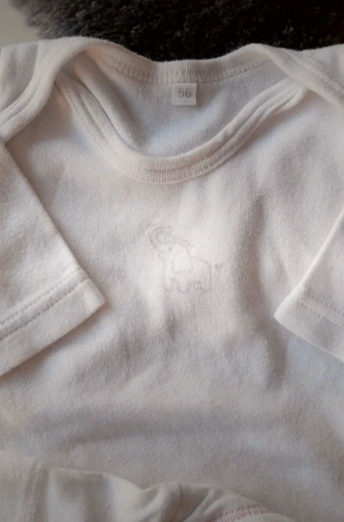 Lots bodies bébé - photo numéro 2