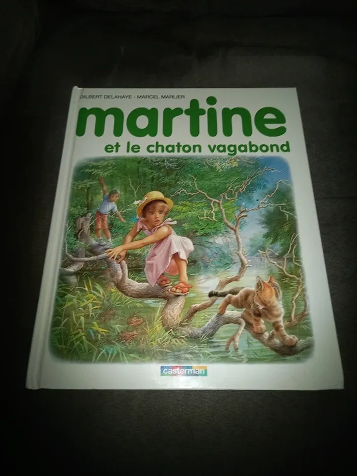 Livre martine et le chaton vagabond