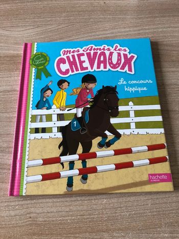 Mes amies les chevaux