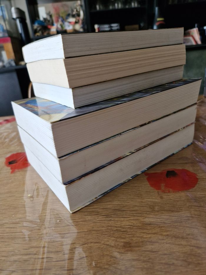Intégrale Saga Ewilan en 6 tomes - photo numéro 5