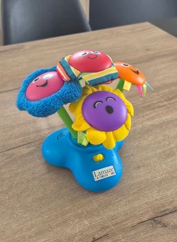 Bouquet de fleurs musical et lumineux