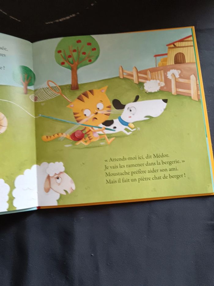 Livre un mensonge de trop pour moustache - photo numéro 2
