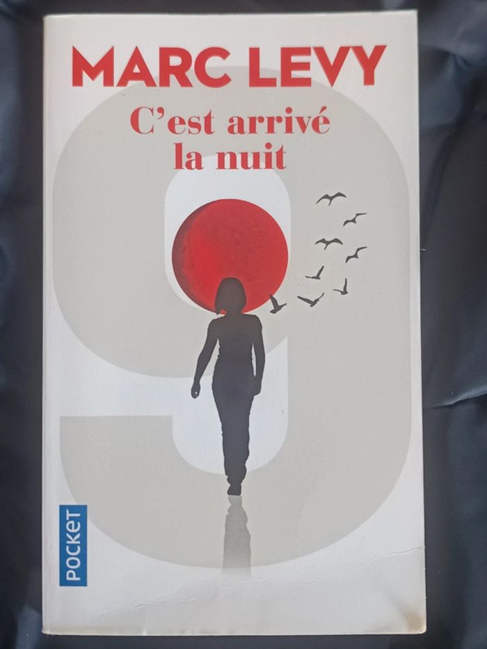 Livre C'est arrivé la nuit Marc Levy