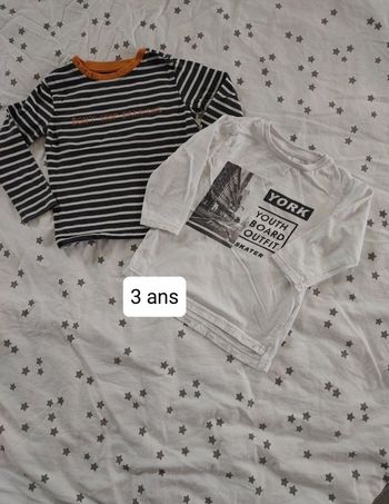 Lot de 2tee shirts manche longue 3ans
Vertbaudet