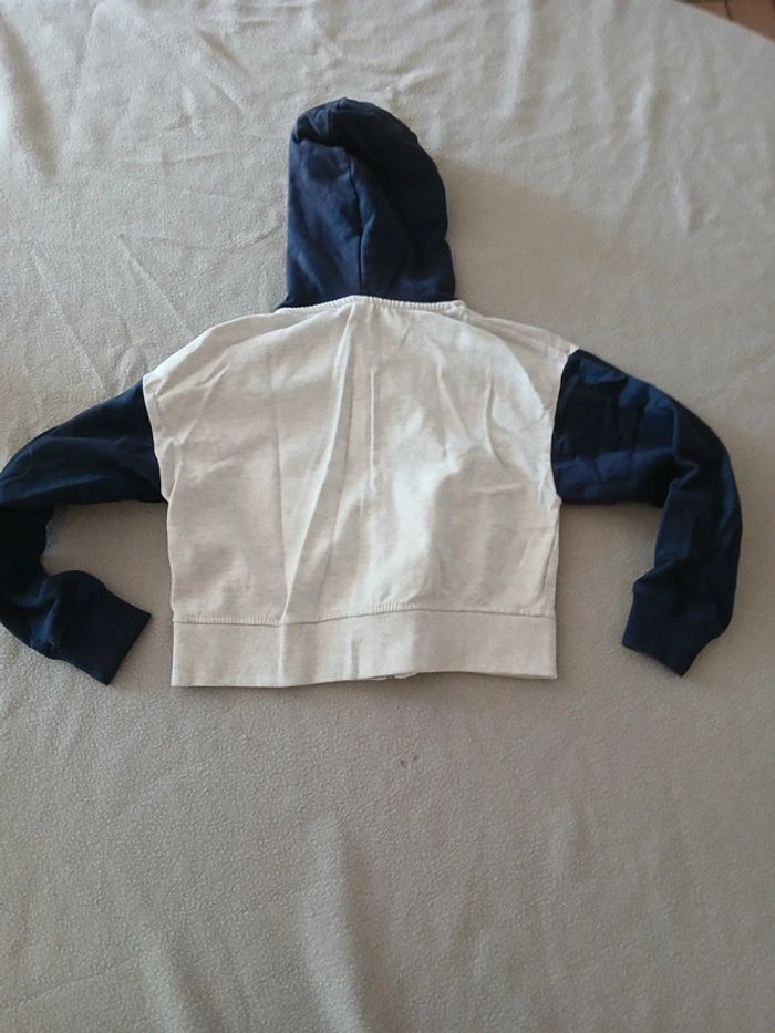 Veste a capuche garçon 5 ans - photo numéro 3