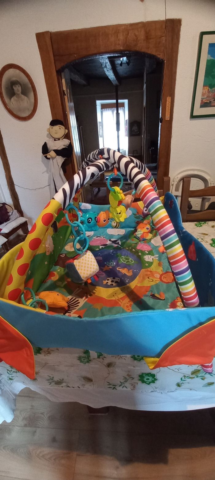 Tapis d'eveil - photo numéro 3