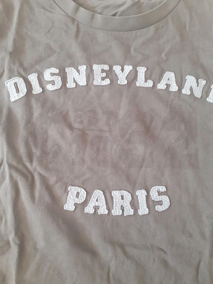 Tee shirt manches courtes disneyland - photo numéro 2