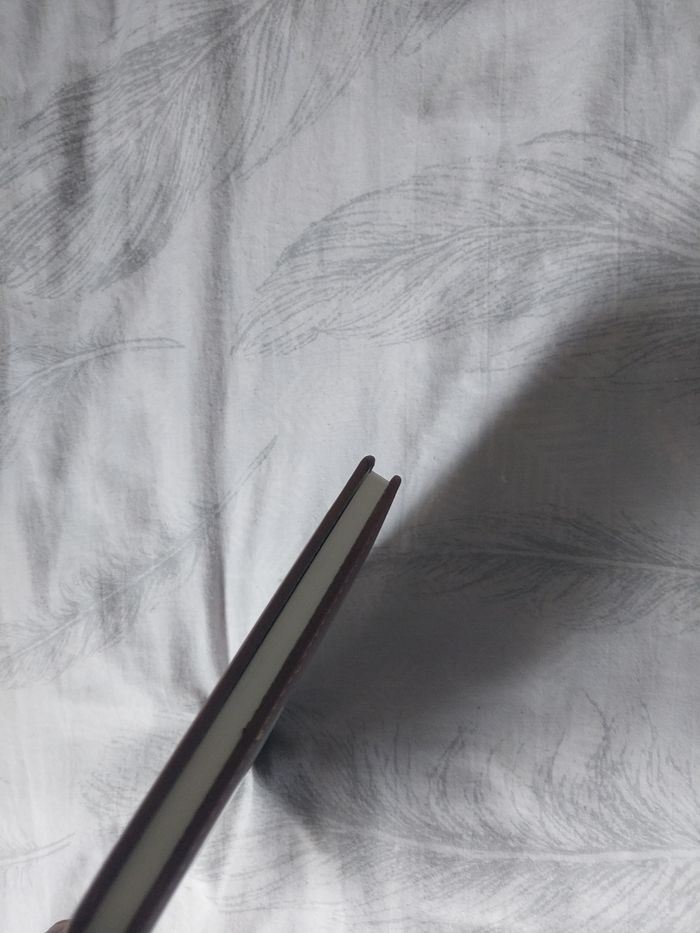 Carnet A5 simili cuir – 128 pages lignées - photo numéro 5