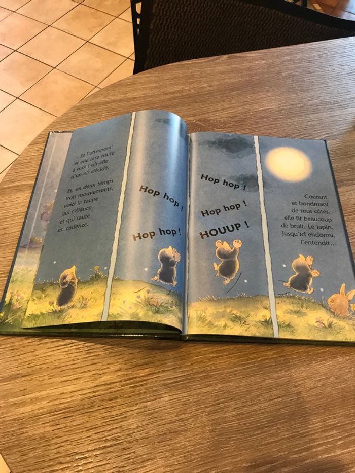 Livre une taupe au clair de lune - photo numéro 2