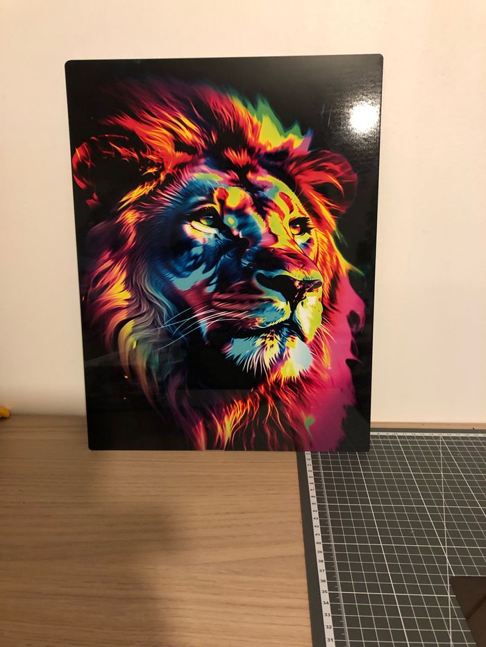 Poster en métal - photo numéro 2