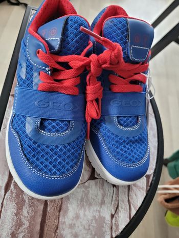 basket geox t33 neuf (15e)