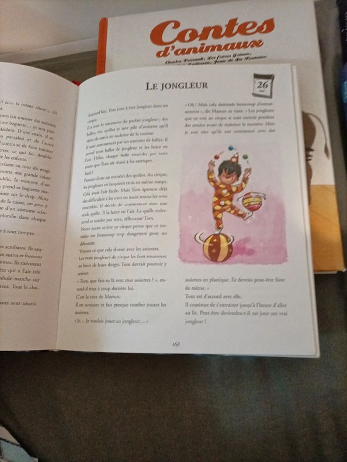 Livres de contes - photo numéro 4