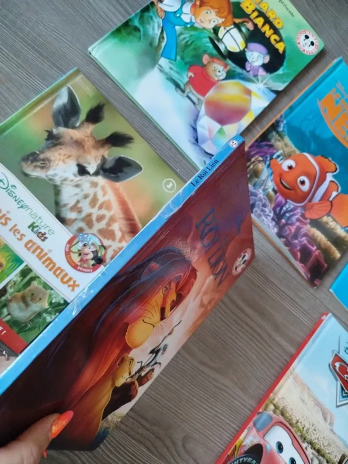 Lot livre Disney - photo numéro 2