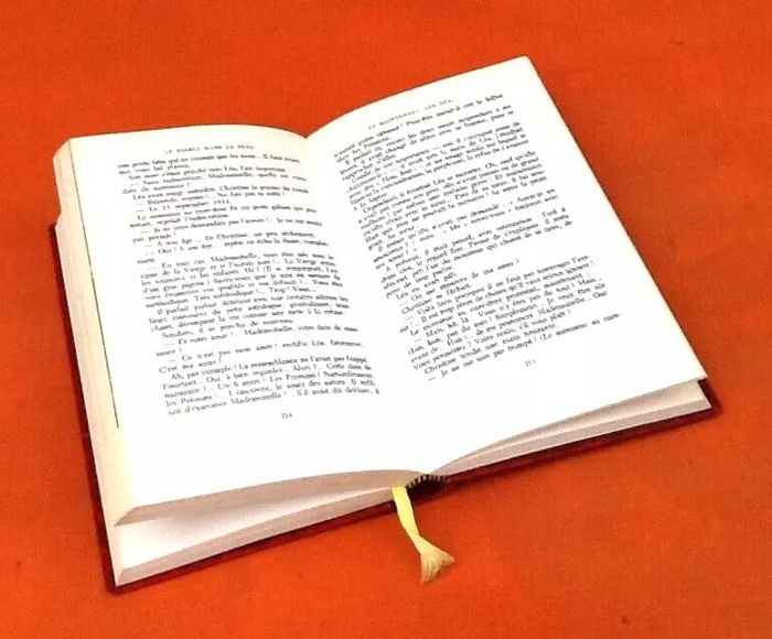 Paulette Houdyer Le diable dans la peau - photo numéro 6