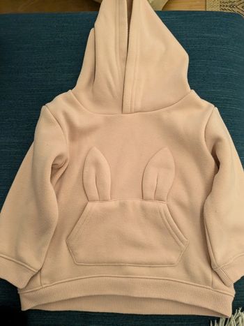 Pull capuche