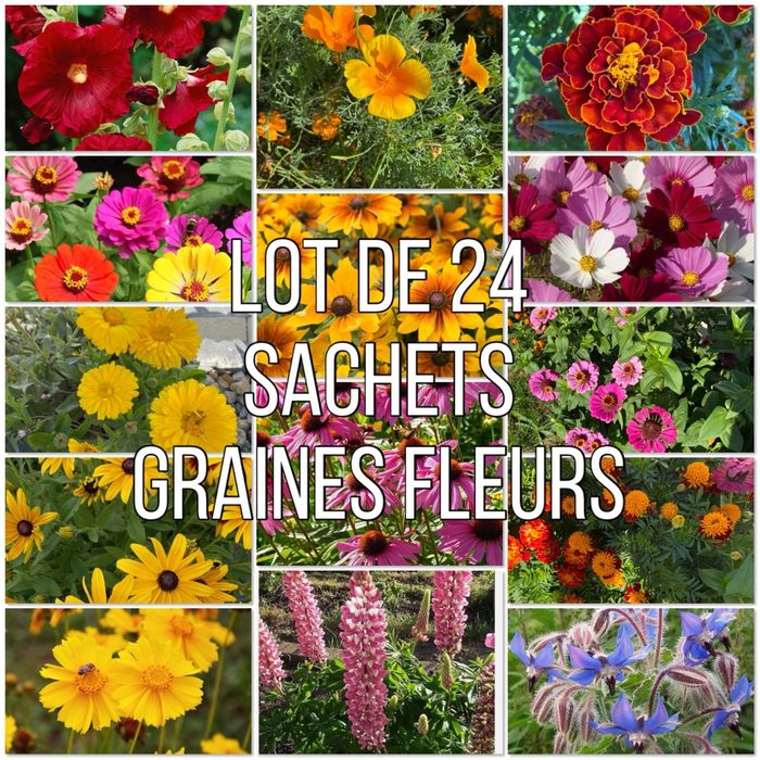 lot exceptionnel : 24 sachets de graines de fleurs – annuelles & vivaces