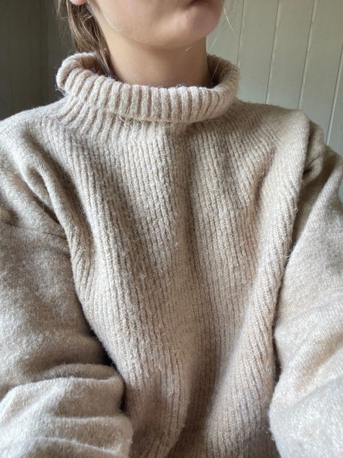 Pull à col roulé Gemo - photo numéro 3