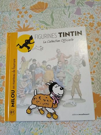 Livre tintin 