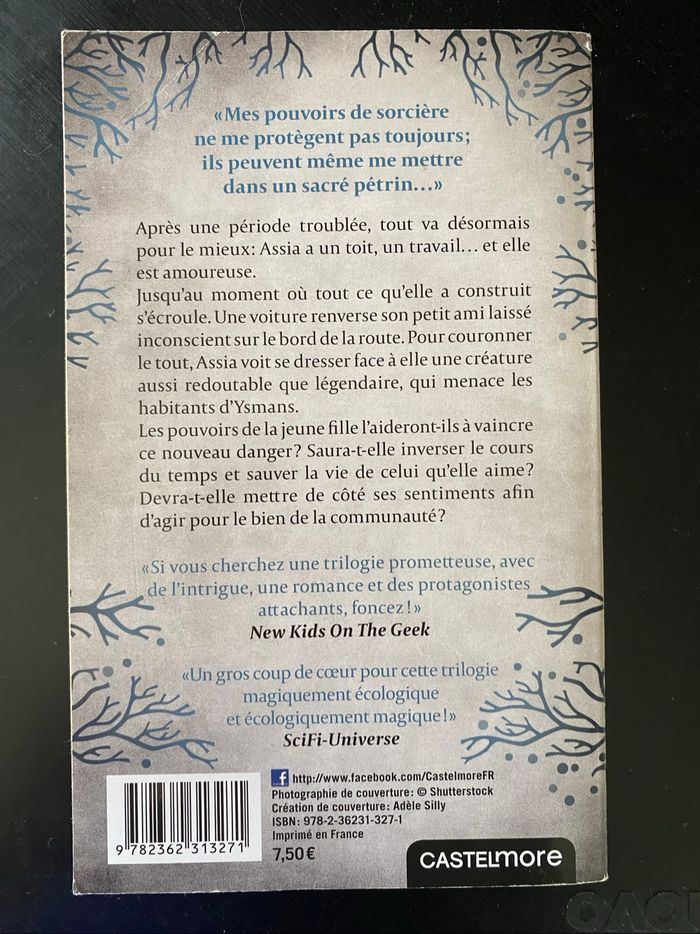 Saga l’héritière des Ravens - photo numéro 5